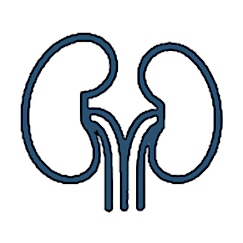 Symbol Nephrologie